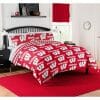 NCAA Wisconsin Badgers Bedding Set V6
