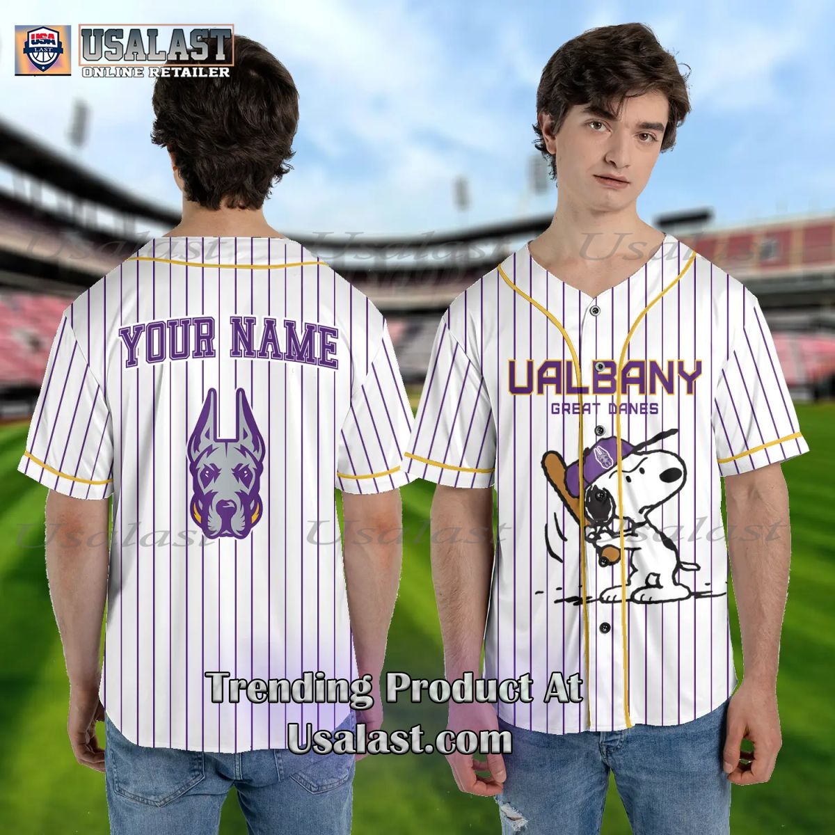 NCAA Albany Great Danes Custom Name Snoopy Baseball Jersey