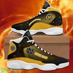 NCAA Notre Dame Fighting Irish Special Style Air Jordan 13 Shoes