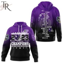 NCAA Northwestern Wildcats 2023 Las Vegas Bowl Purple Black Pullover Hoodie