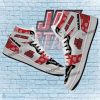 NCAA Jacksonville State Gamecocks Custom Name Logo Air Jordan 1 High Sneakers