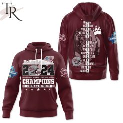 NCAA Montana Grizzlies 2024 Division I Champions Pullover Hoodie